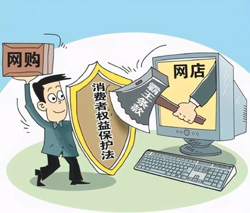 保健食品管理条例，消费者权益的守护者