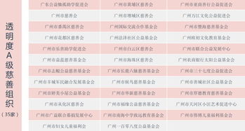 政府采购代理，透明度、效率与监管的三重奏