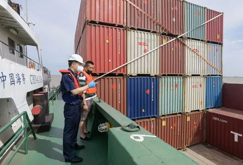 贵重物品托运，安全与信任的桥梁