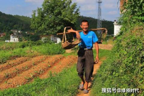 守护土地的守护者，失地农民养老保险的温馨保障