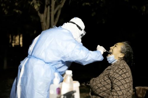 新疆疫情新动态，新增25例背后的数据与影响