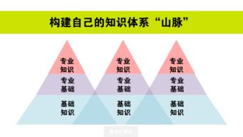 构建高效个人档案管理制度，策略、实践与未来趋势
