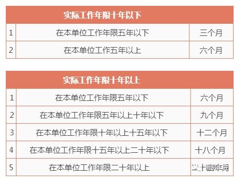 深入了解1011上班吗，工作日的安排与员工福利