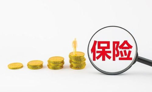 上海综合保险，全面保障，城市发展的坚实基石