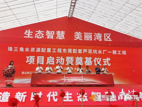 东莞疫情最新动态，共同守护我们的城市