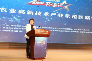 深入解析，创业贷款政策如何助力创业者实现梦想