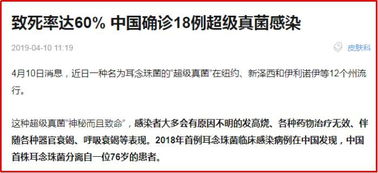 深入理解所得税审计，保护您的财务安全