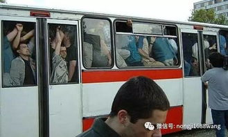 公交车超载，挑战、影响及解决方案