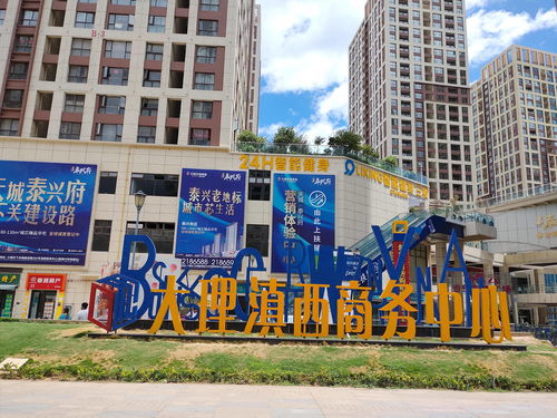 郯城房屋出租，探索城市生活新篇章