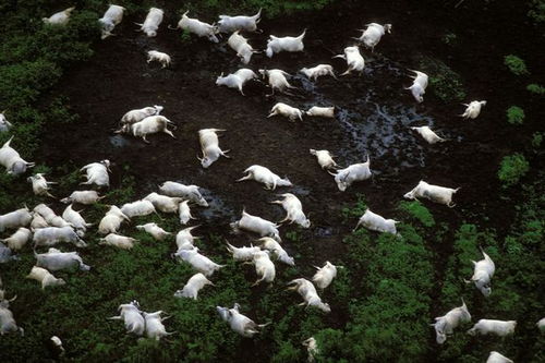 变异株的威胁，了解7人感染变异株死亡事件及其预防措施