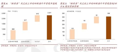 深入解析新股发行制度，机遇、挑战与投资智慧