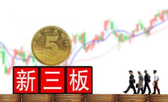 深入解析新股发行制度，机遇、挑战与投资智慧