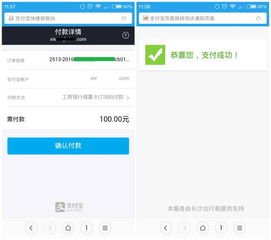 长沙公安交通违章查询，便捷服务与安全驾驶的双重保障
