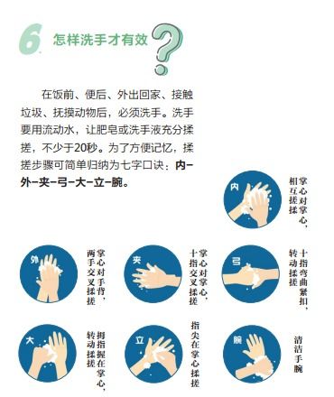 上海疫情动态，最新进展与个人防护指南