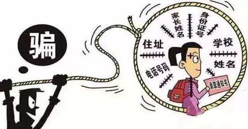 安心贷骗局，揭示金融诈骗的真相与防范策略