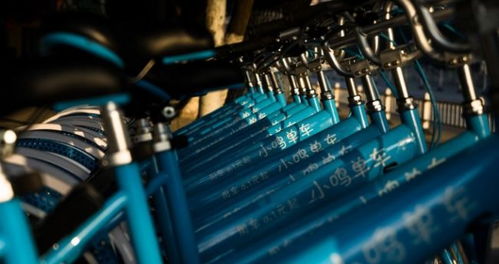 小鸣单车一审宣判，共享经济的法律边界与未来