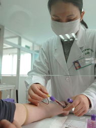 深入了解DNA亲子鉴定，费用、流程及重要性