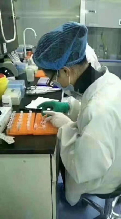 深入了解DNA亲子鉴定，费用、流程及重要性