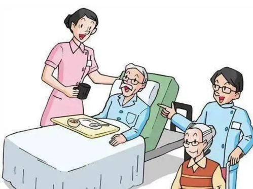 湖北省养老保险局，守护银发族的金色未来