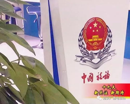 山东养老保险新政策，改革红利惠及千家万户