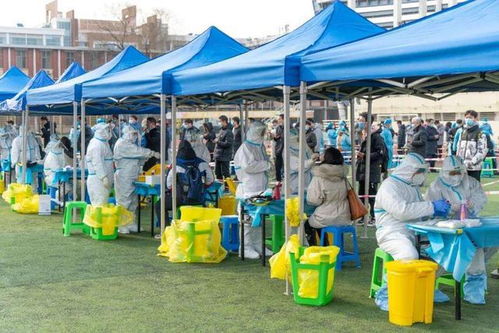 云南疫情新动态，新增确诊15例，防控措施升级与民众生活影响分析