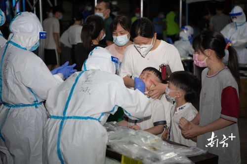 广州疫情新动态，17例本土确诊病例的警示与防控策略