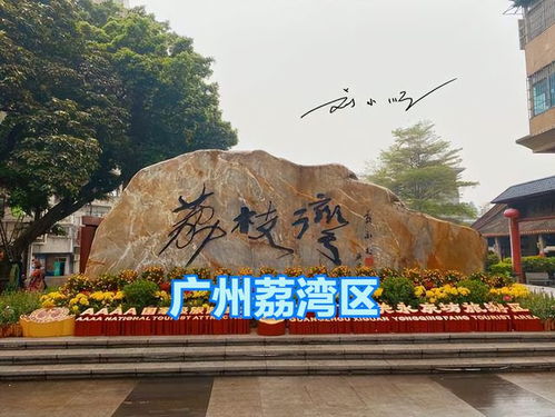 广州疫情新动态，17例本土确诊病例的警示与防控策略