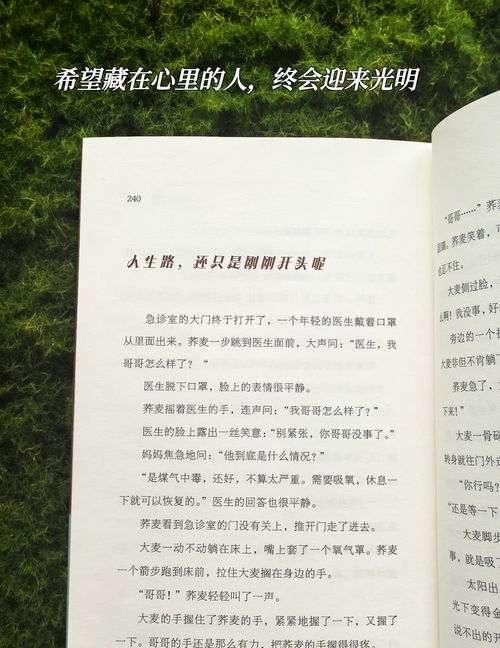 跨越贫困的桥梁，一份申请书的力量