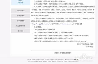 报到证过期，职场新人的隐忧与应对策略