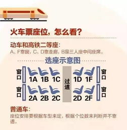 火车票停售背后，疫情、政策与民众出行的三重奏