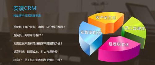 股票投资公司，深入理解与投资策略