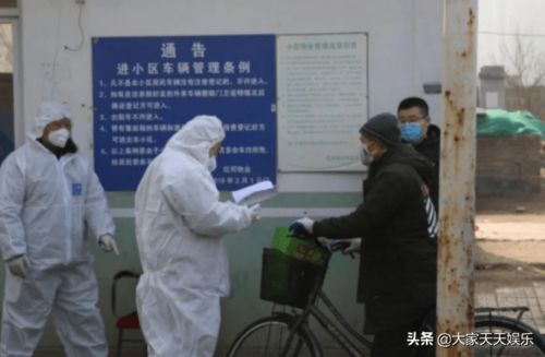 福建疫情新动态，31省份新增本土确诊28例的深度解析与防控策略