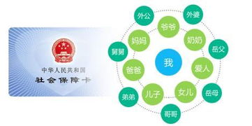 广州社保代理，一站式解决方案，保障您的权益