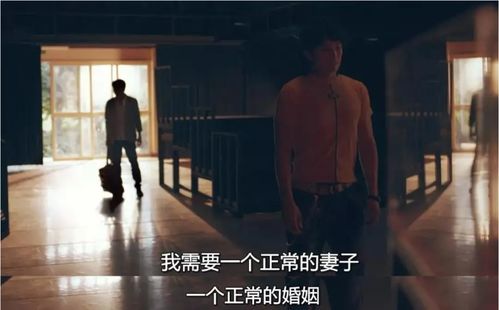 中国同妻家园网，探索中国LGBTQ+群体中的隐秘角落