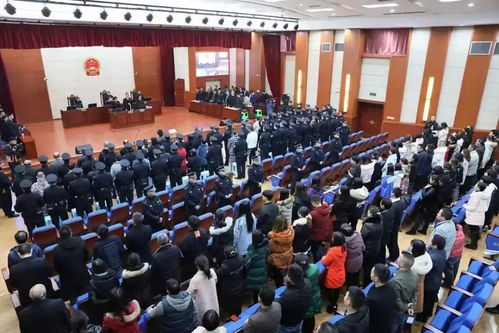 重庆打黑案，正义与法治的较量