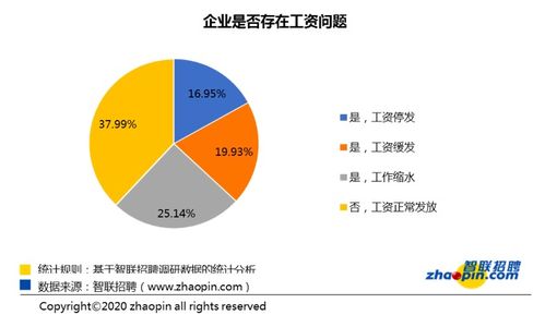 揭开灰色收入的神秘面纱，含义、影响及应对策略