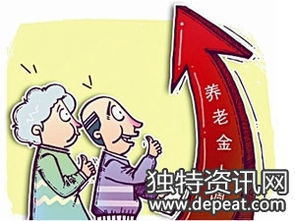 公务员养老金并轨方案，公平与效率的桥梁