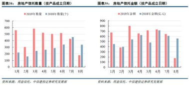 深入解析，股票股利的发放机制及其对投资者的影响