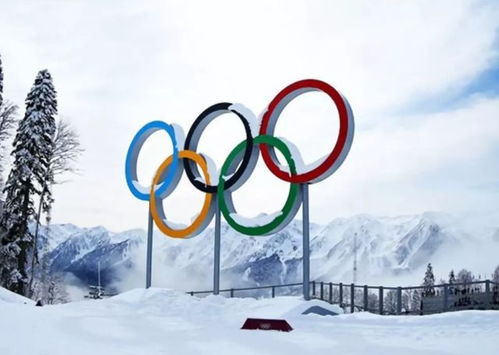 2021年冬奥会停工令，影响、应对与未来展望