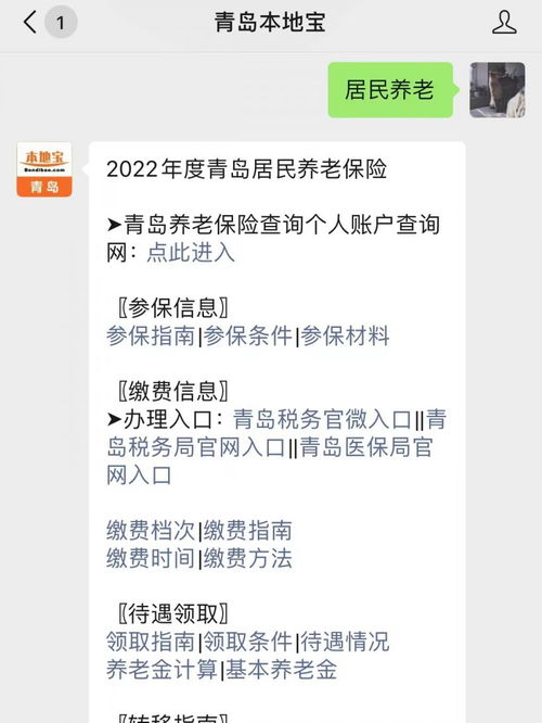掌握未来，青岛养老保险查询指南