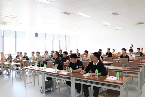 马景涛离婚，明星婚姻的挑战与启示