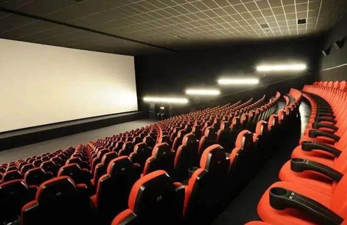 探索成人影院网，私密娱乐的新天地