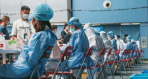 辽宁疫情新动态，葫芦岛新增8例本土确诊的应对与防护