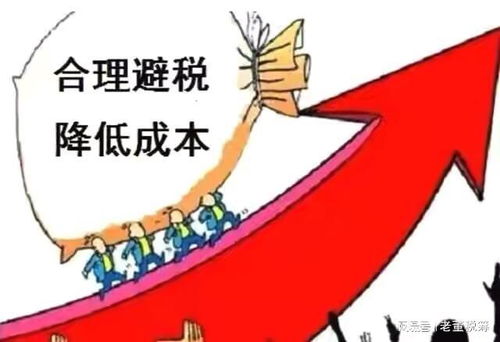 避税与反避税，理解税收游戏的双刃剑