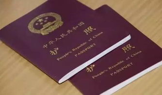 上海港澳通行证办理全攻略，地点、流程、注意事项一网打尽