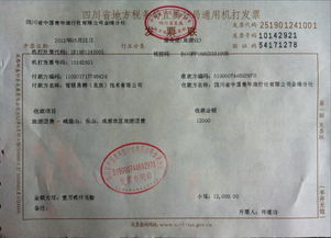 深圳地税发票，理解、使用与合规指南