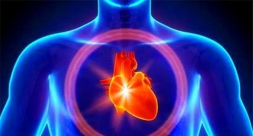 理解与预防，深入探讨街头暴力事件的心理与社会因素