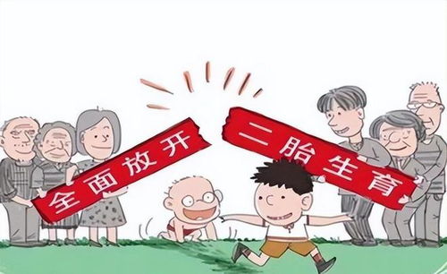 分省放开二胎政策，人口政策的新篇章与挑战