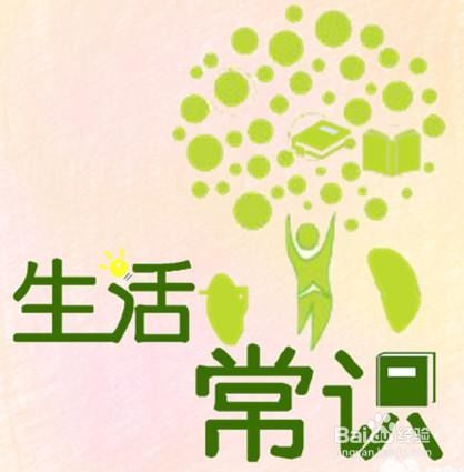 法律小故事，生活中的智慧与启示