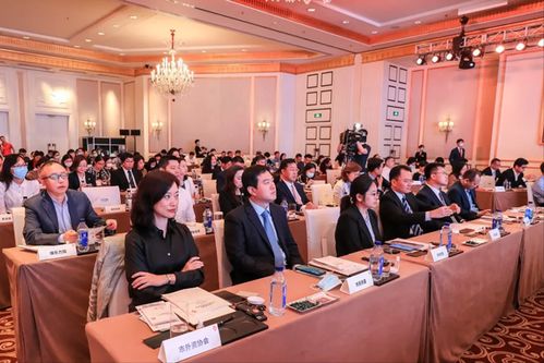 西部大开发的优惠政策，机遇与挑战